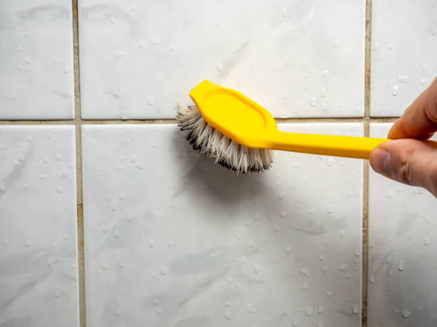 Best Home Mold Removal  in Rice, MN