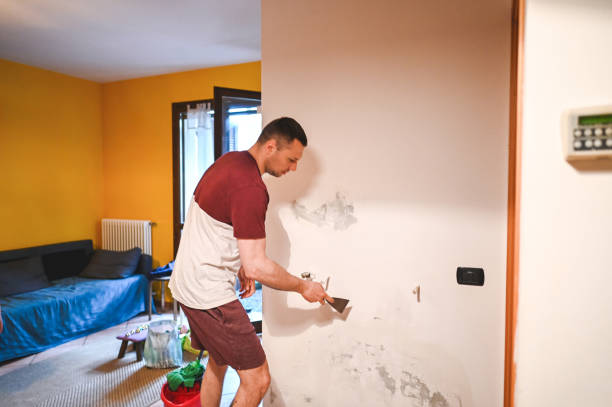 Best Mold Cleaning Services  in Rice, MN